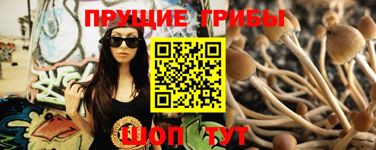 Галлюциногенные грибы MAGIC MUSHROOMS Всеволожск