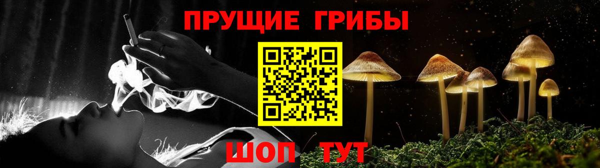 Псилоцибиновые грибы Psilocybe  закладки  Всеволожск  Вход с VPN 